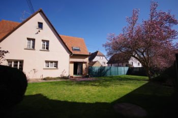 Vue maison depuis jardin - 737 - Vendenheim